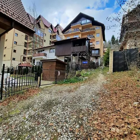 Furnica